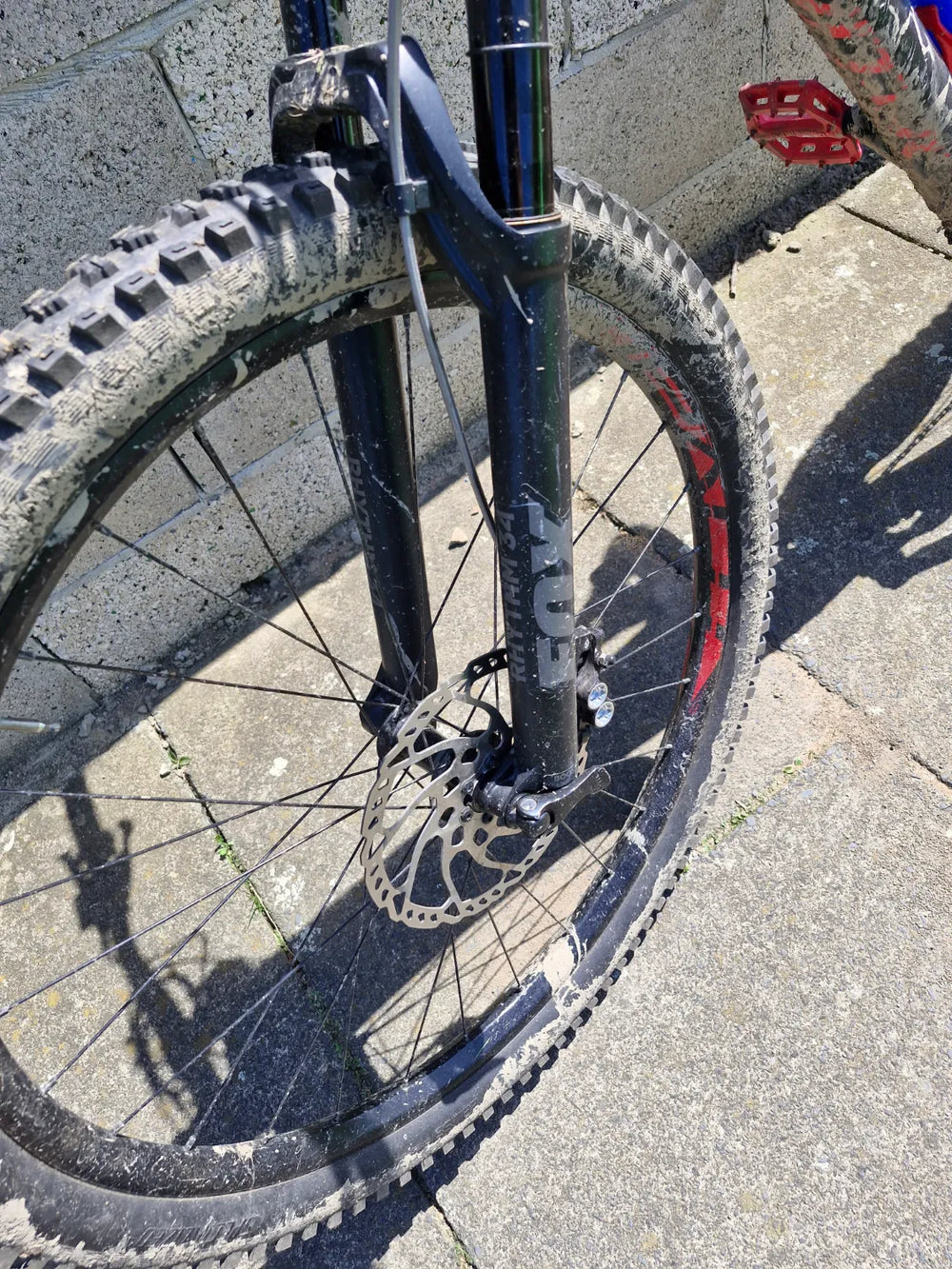 Specialized Men's Stumpjumper Comp Alloy 29  - 12-speed 2020