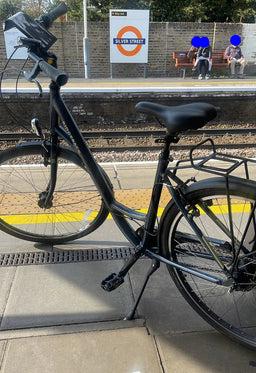 Ridgeback Avenida 7 2024