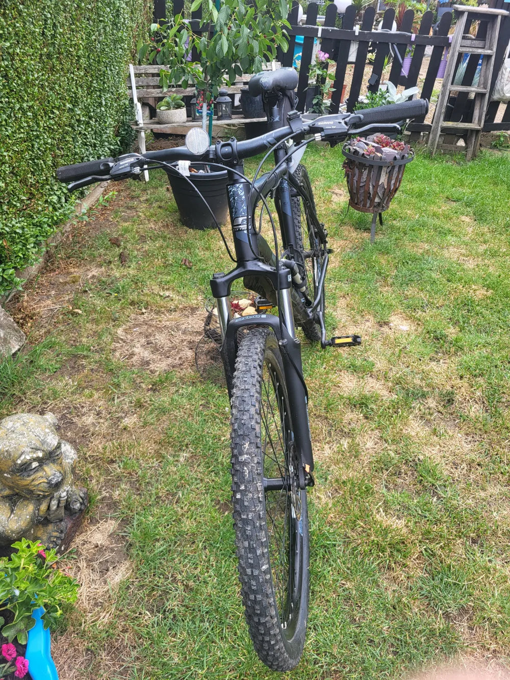Carrera Vengeance , 2024