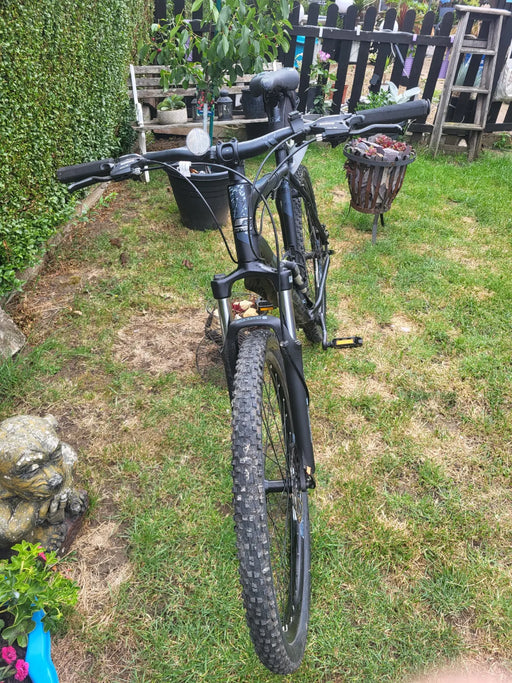 Carrera Vengeance , 2024
