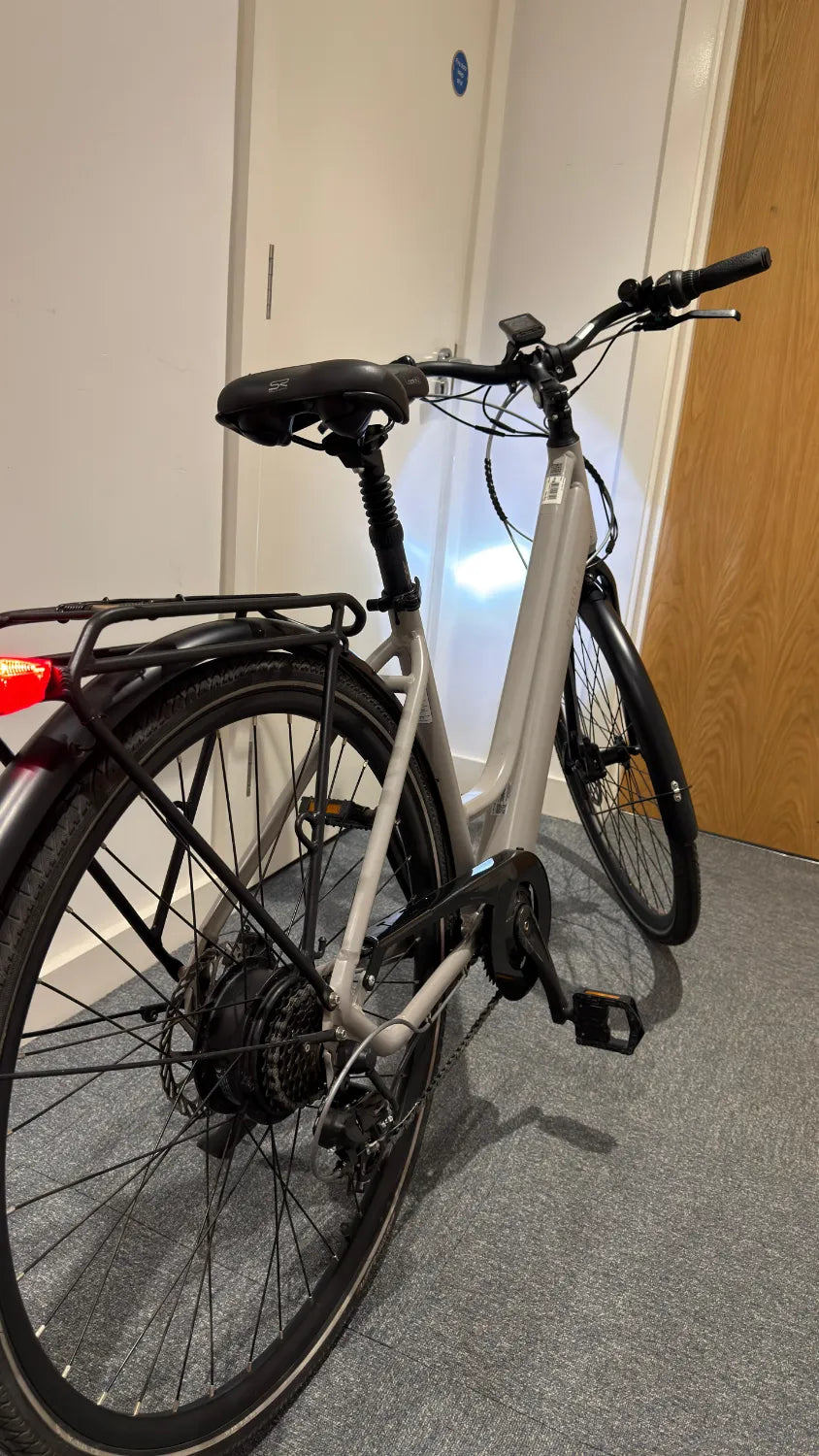 Peddle Step 2024