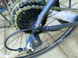 Trek Domane AL 2 Gen 4 Road 2026