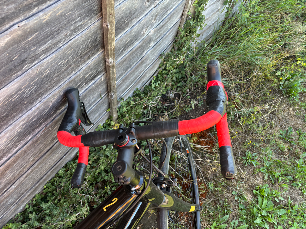 Trek Domane AL 2 2024