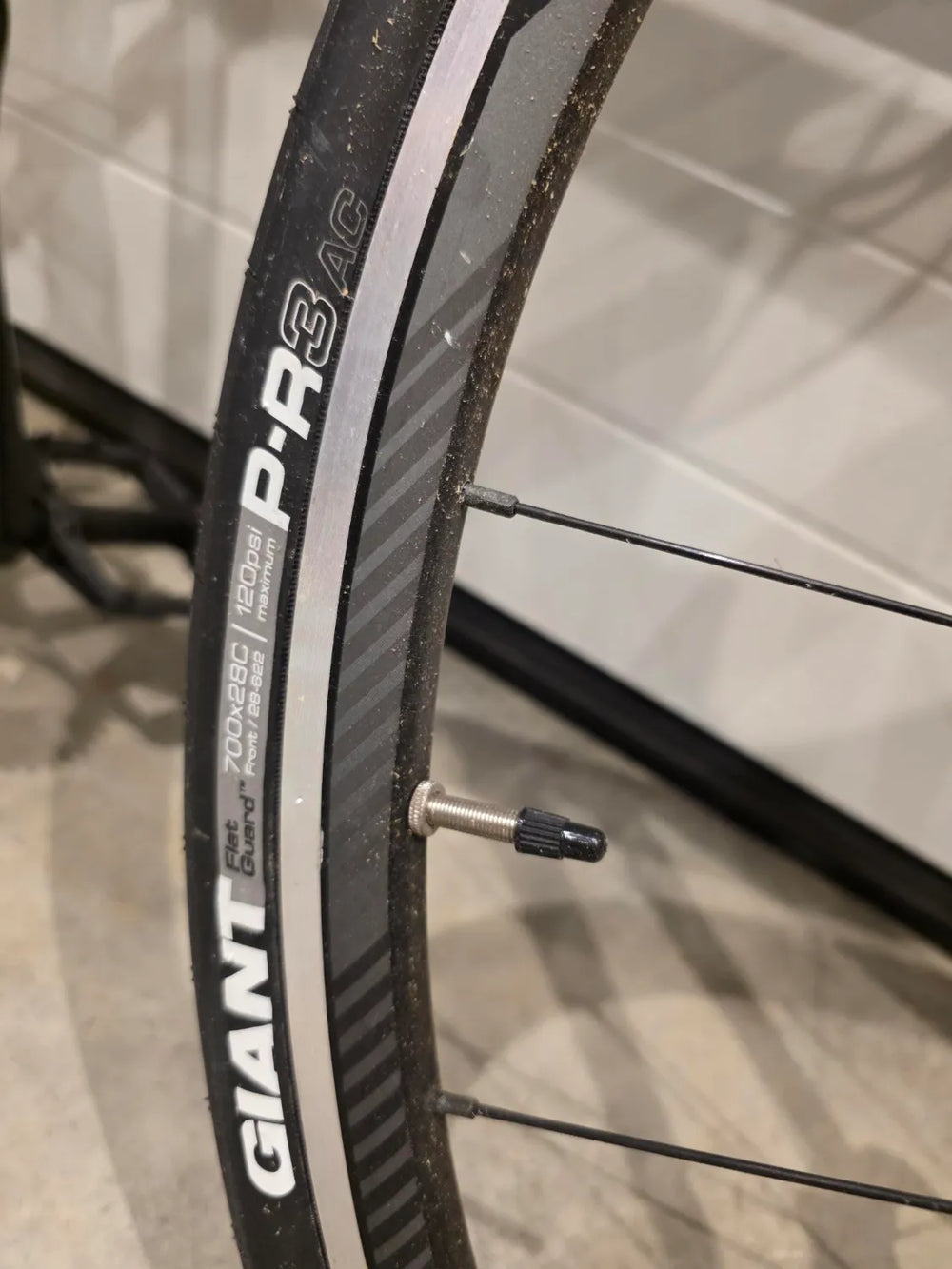 Giant Contend Sl 1 2019