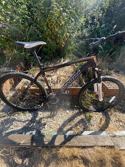 Marin Hawk Hill 2019