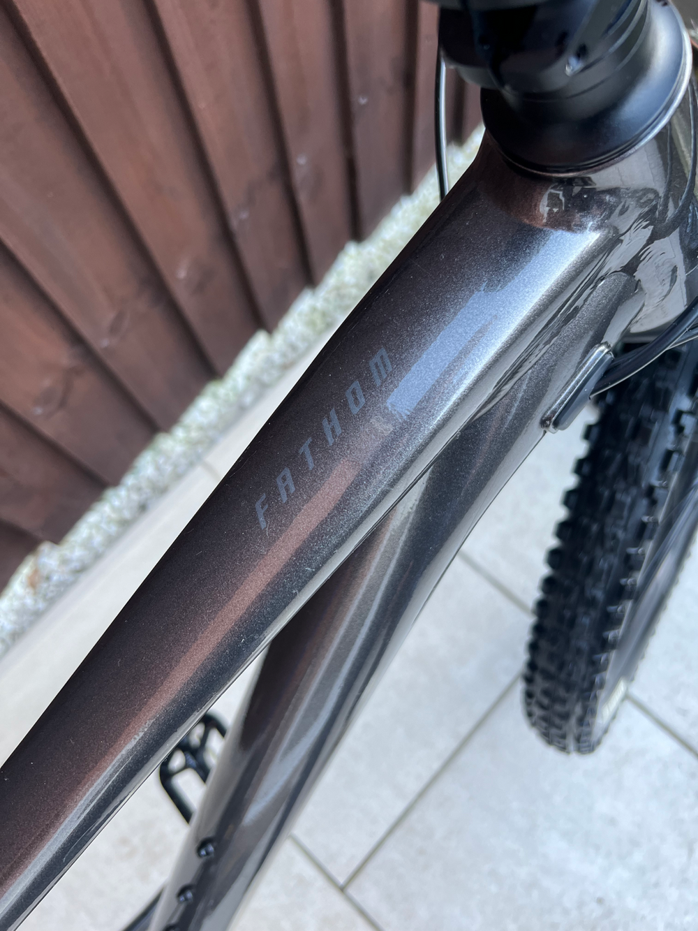 Giant Fathom 29 1 2021