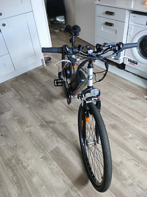Gitane Falcon  2022