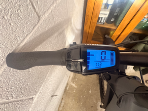 Haibike Trekking 4 High 2024