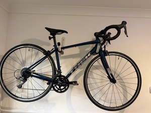 Trek Domane AL 2 Disc 2020