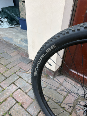 Cannondale Trail 2 2021
