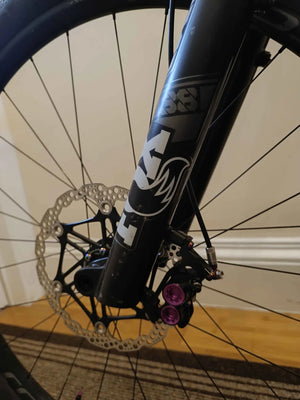 Specialized Enduro Expert Carbon 2023