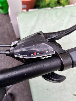 Carrera Vengeance 2024