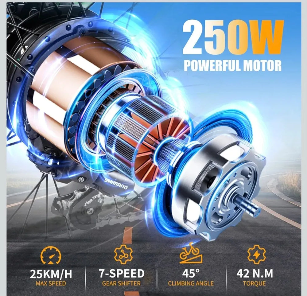 TWOFIS Electric Bicycle  2025