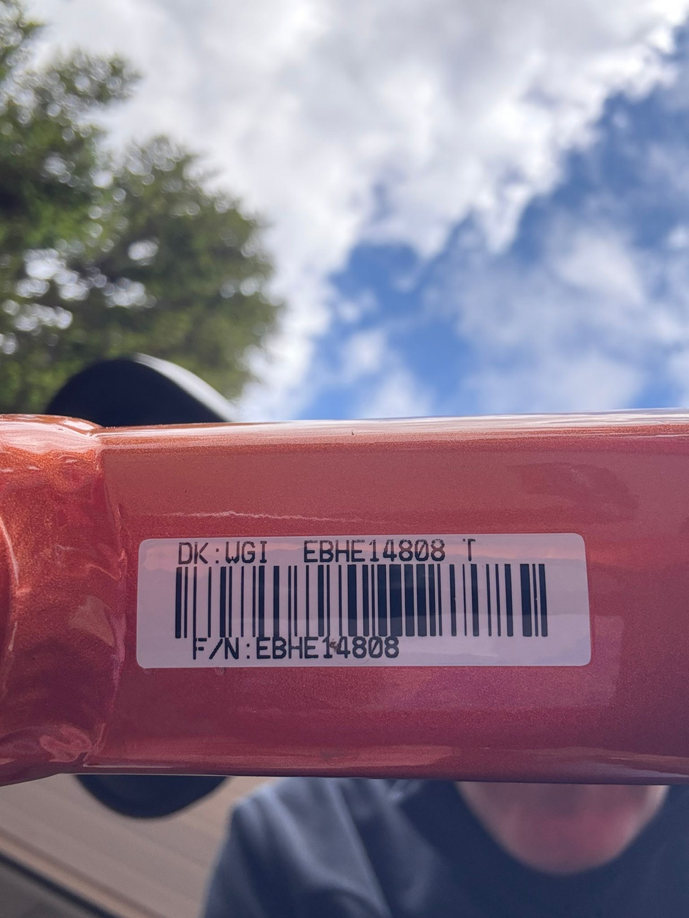 Liv Amiti E+ 2 2023