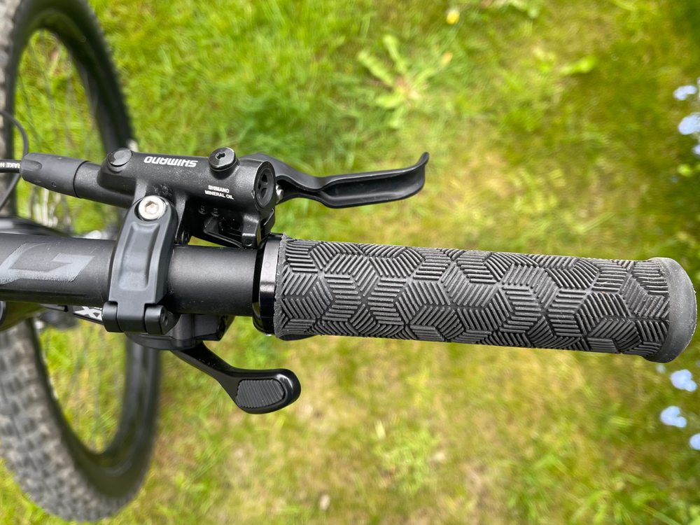 Giant Reign 1 29 Enduro 2021