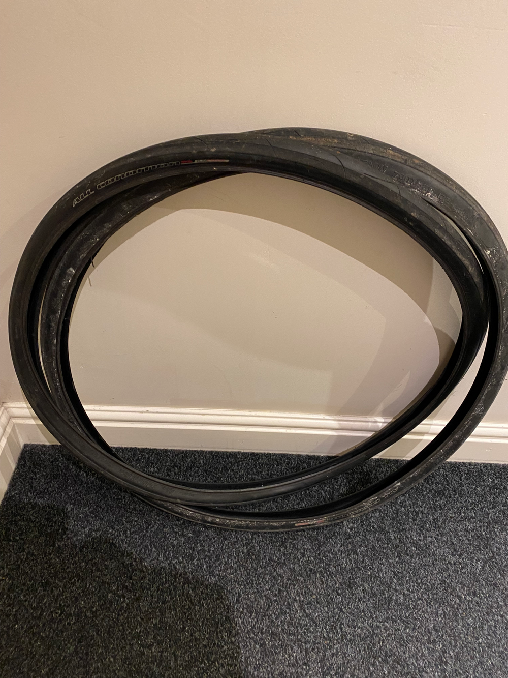 Focus MARES APEX 1 2018