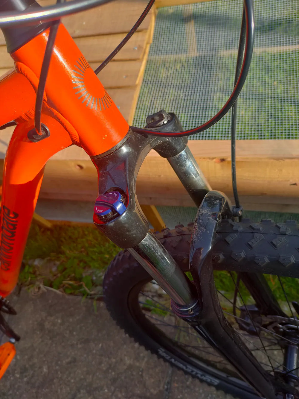 Cannondale Trail 29 6 2014