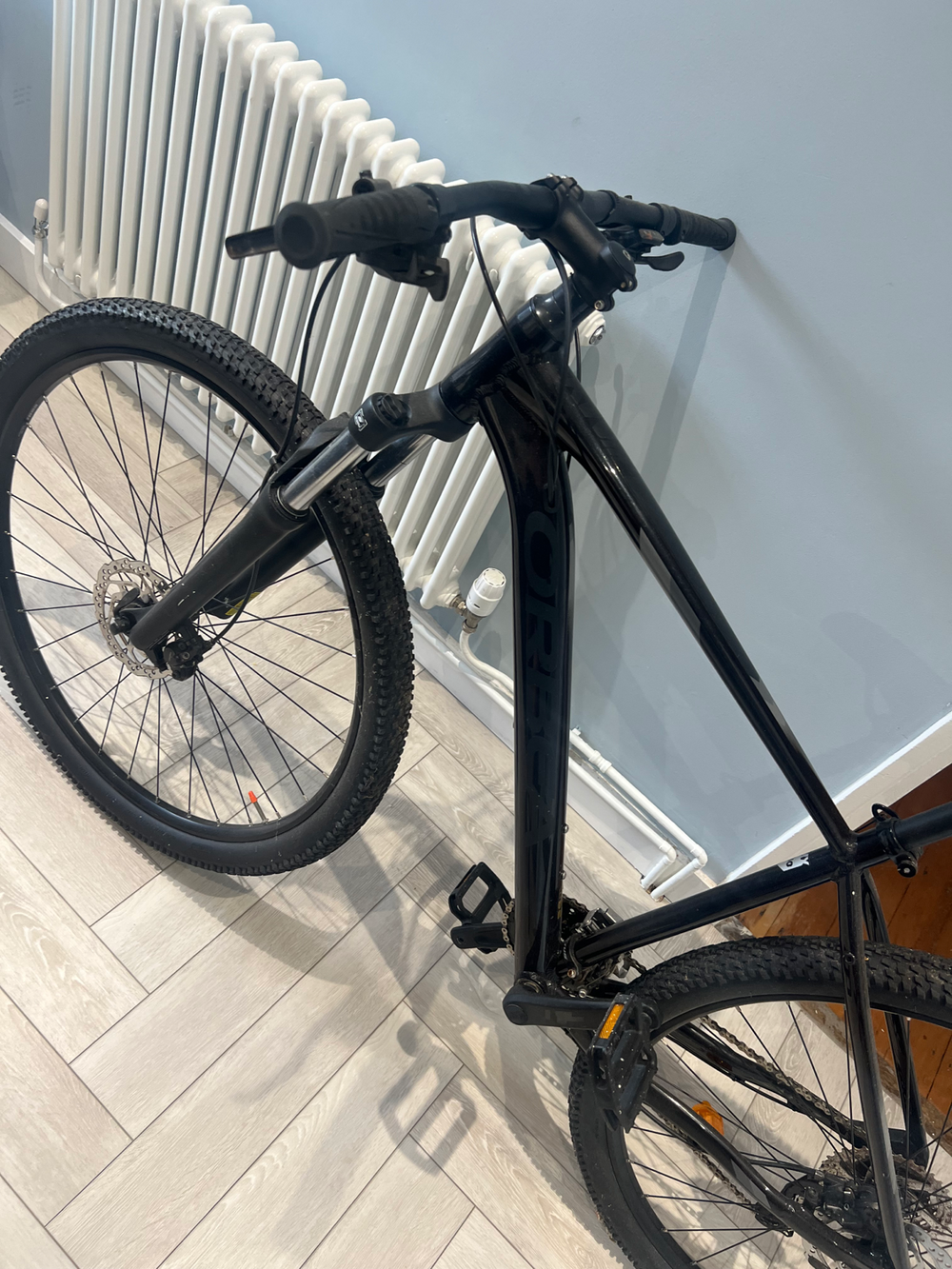 Orbea Mx 40 2021
