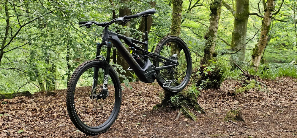 Specialized Levo Comp Alloy G3 2024