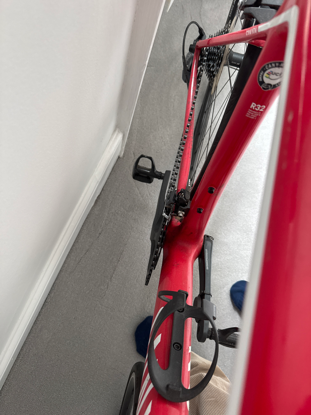 Canyon Endurace CF 8.0 2019