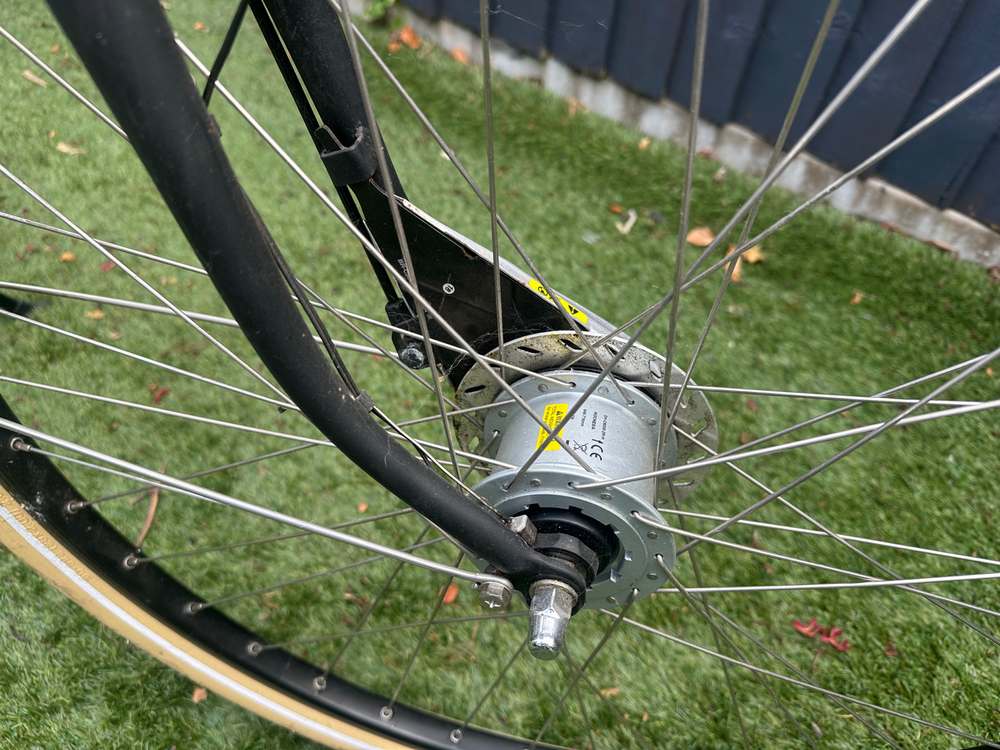 Pilen Dutch bike 2021