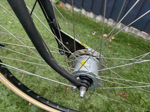 Pilen Dutch bike 2021