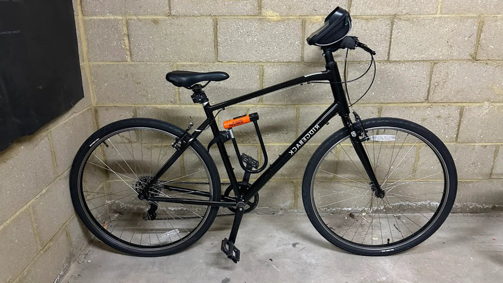 Ridgeback Comet 2024