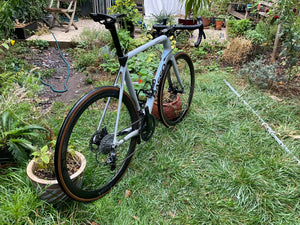 Basso Diamante 2021