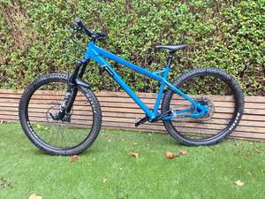 Orange Crush 29 Pro 2020