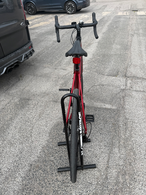 Trek Domane+ 2019