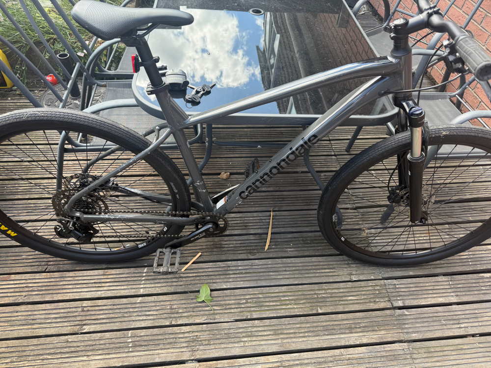 Cannondale Trail 6 29 2025