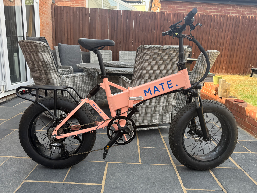 Mate Mate x 250w 2019