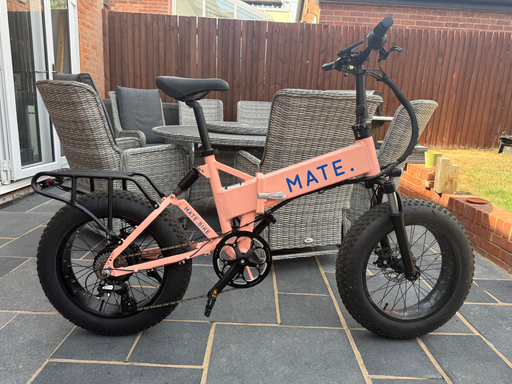 Mate Mate x 250w 2019