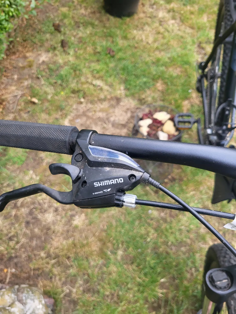Carrera Vengeance , 2024