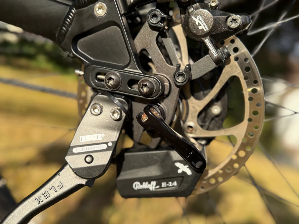 Riese & Muller Supercharger GX Rohloff 2018