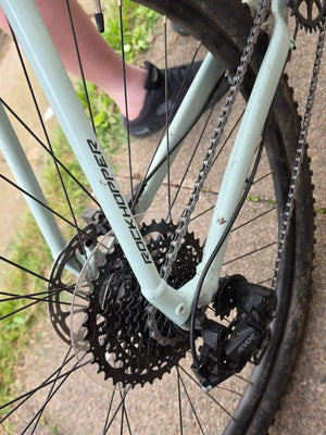 Specialized Rockhopper Expert Disc 29 Single-Speed 2009