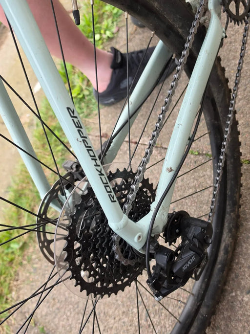 Specialized Rockhopper Expert Disc 29 Single-Speed 2009