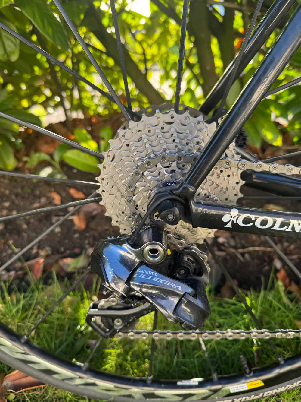 Colnago C60 Disc 2015