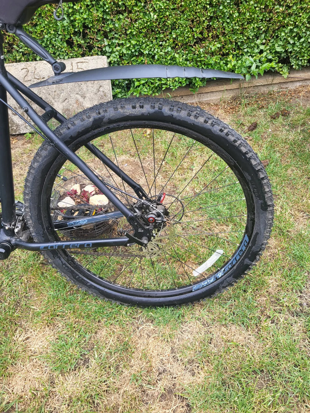 Carrera Vengeance , 2024
