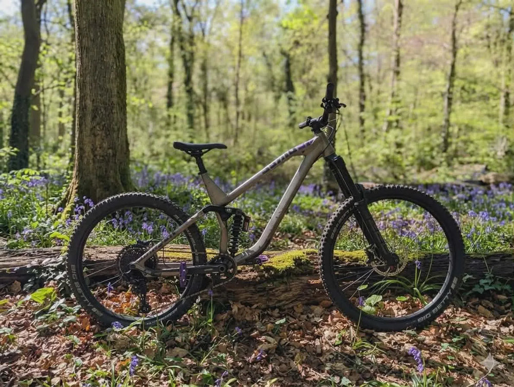 NS Bikes Define AL 170 2 Downhill 2025