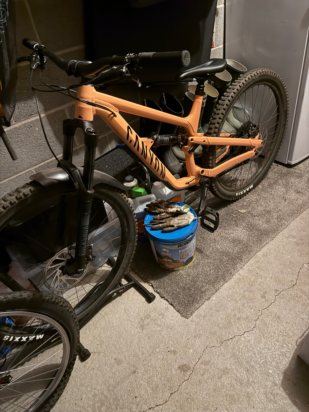 Canyon Spectral 5 2024