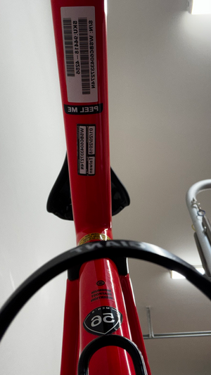 Specialized Roubaix Elite 2019