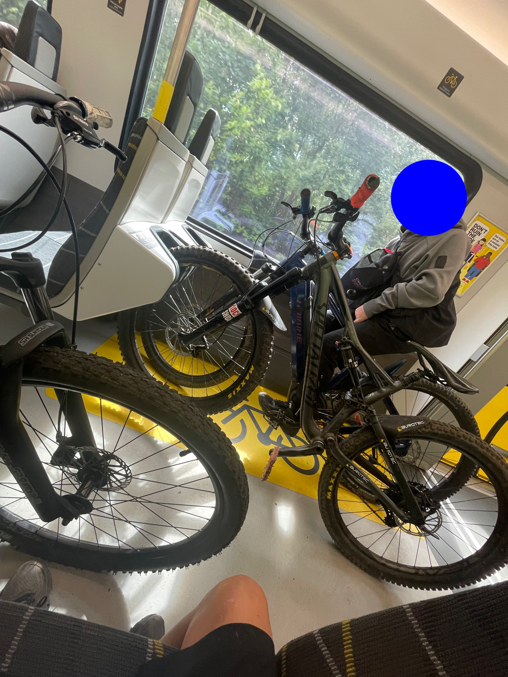 Specialized Stuntjumper expert SPD 2021