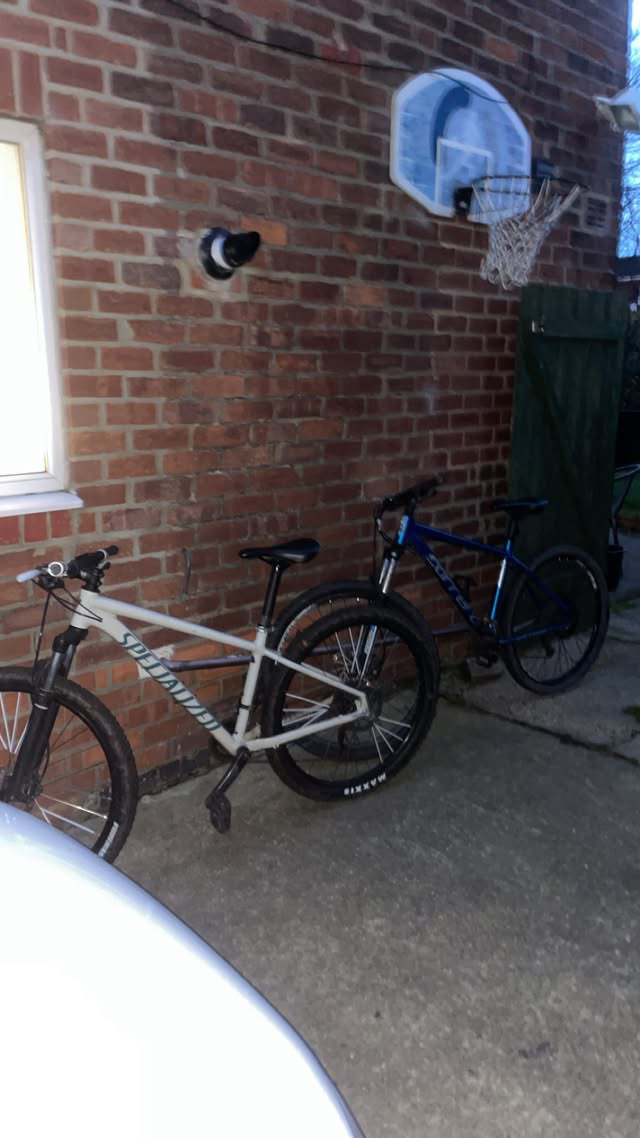 Carrera not sure  2022