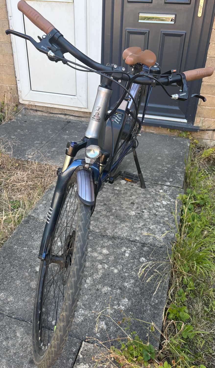 Raleigh Array Lowstep 2022