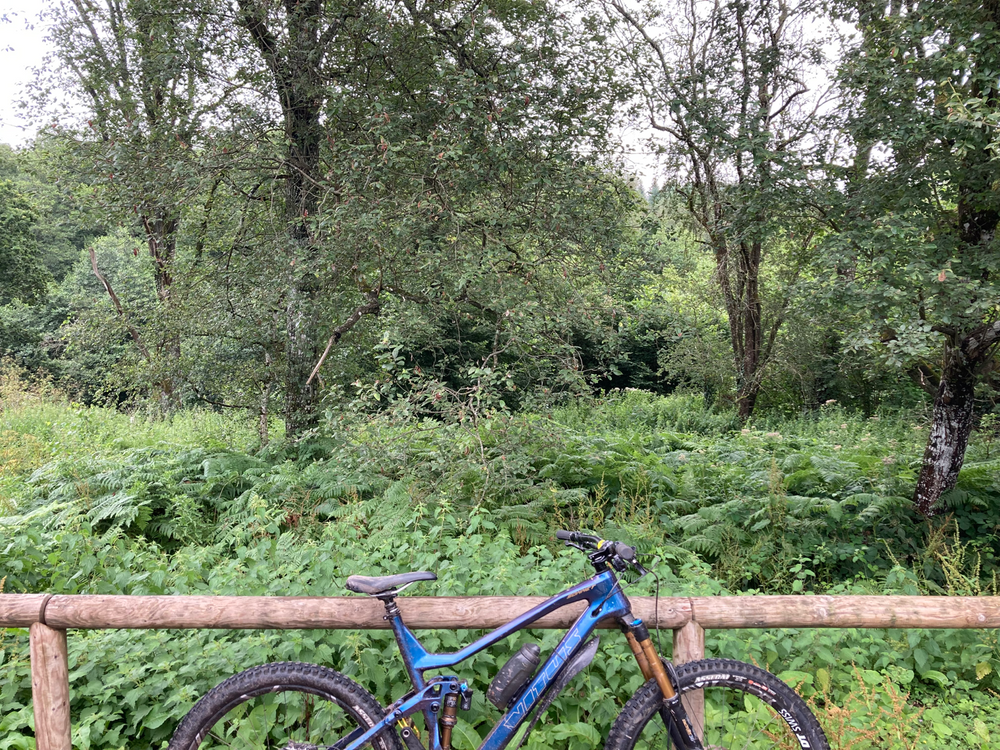 Vitus Sommet 27 CRX 2020