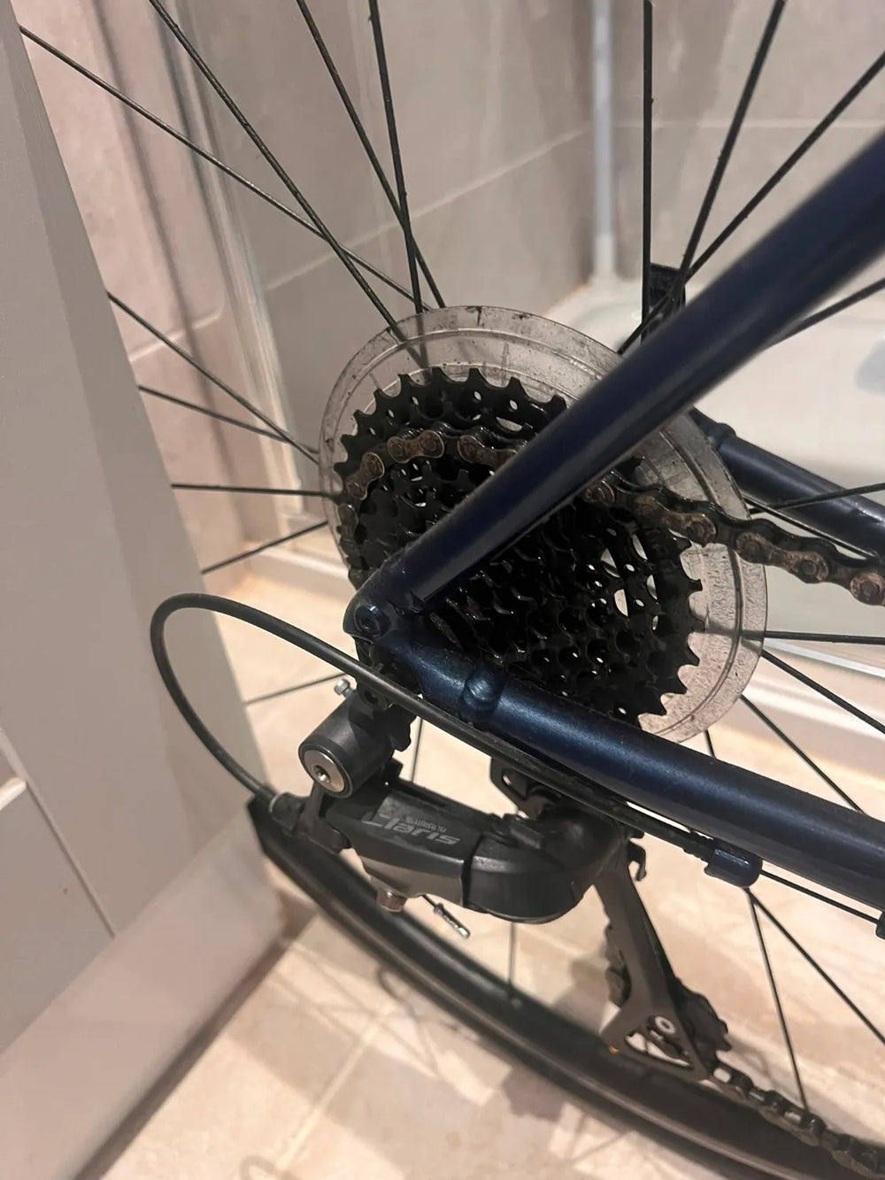 Trek Domane AL 2 2021