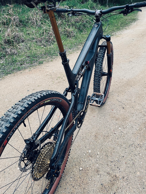 Salsa Blackthorn Carbon Frame 2021