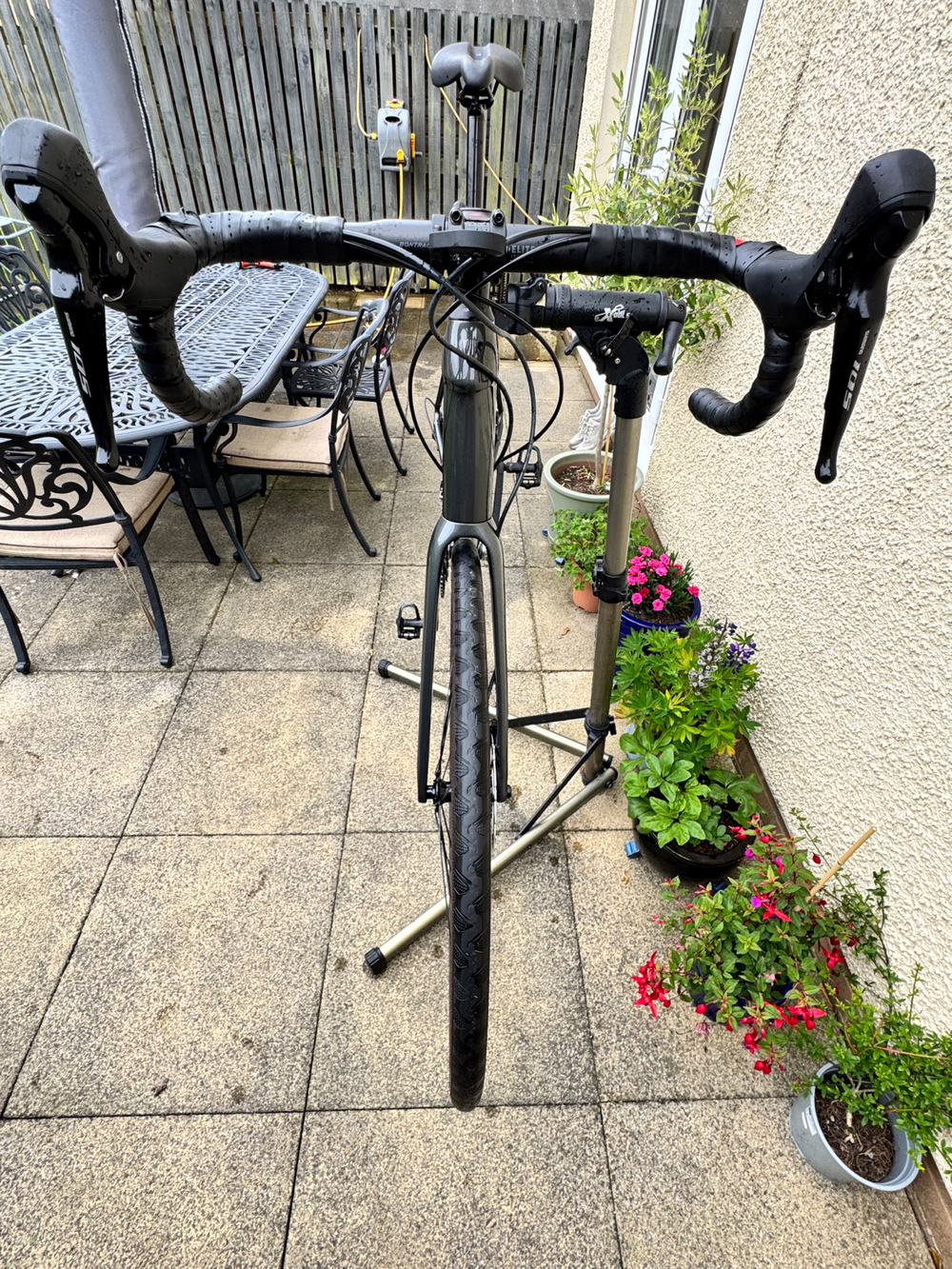 Trek Domane AL 5 Disc 2022