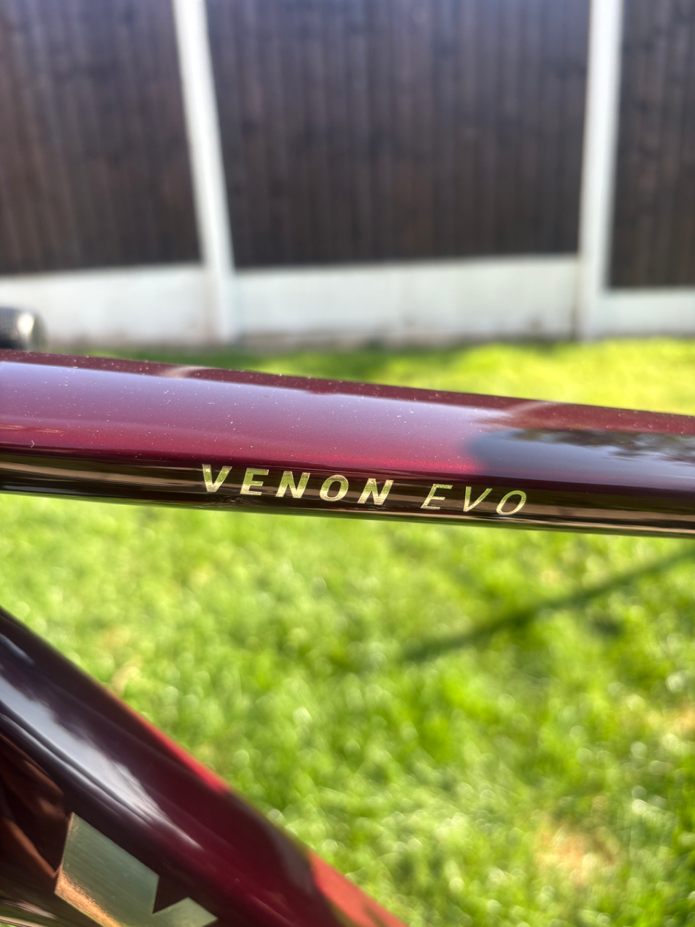 Vitus Venon EVO-RS Force AXS 2023